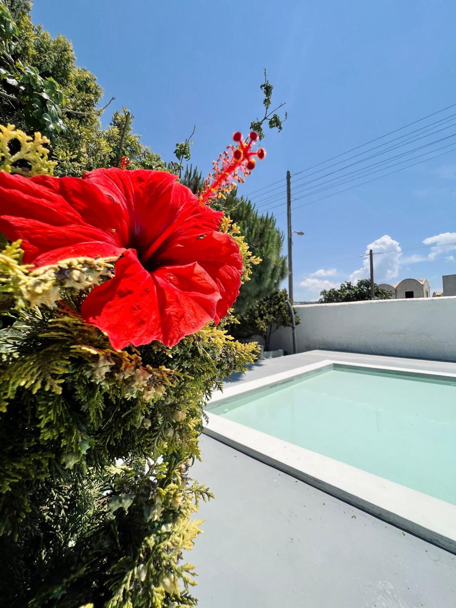 Appartamento Santo Margarita Oia  Esterno foto